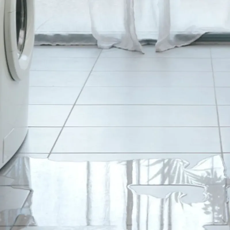 Appliance Leak Cleanup in Choccolocco, AL
