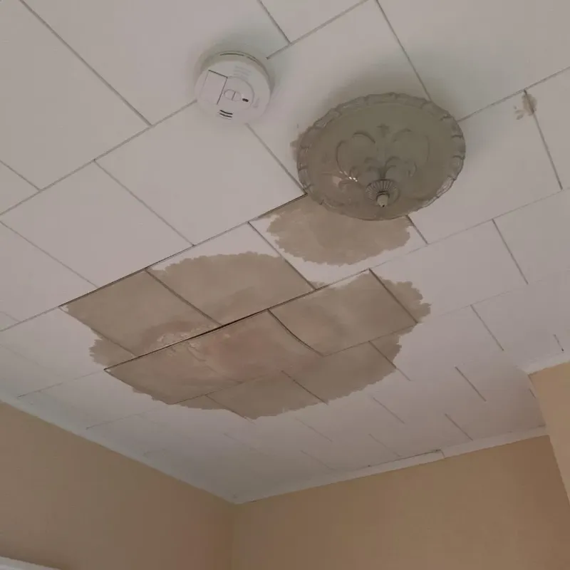 Ceiling Water Damage Repair in Choccolocco, AL
