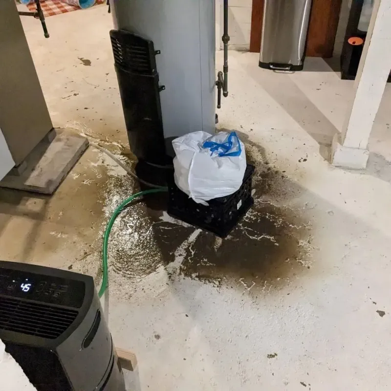 Sewage Backup Cleanup Service in Choccolocco, AL